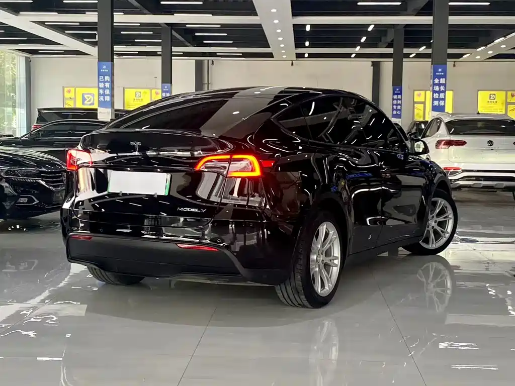 Tesla Model Y — миниатюра 7