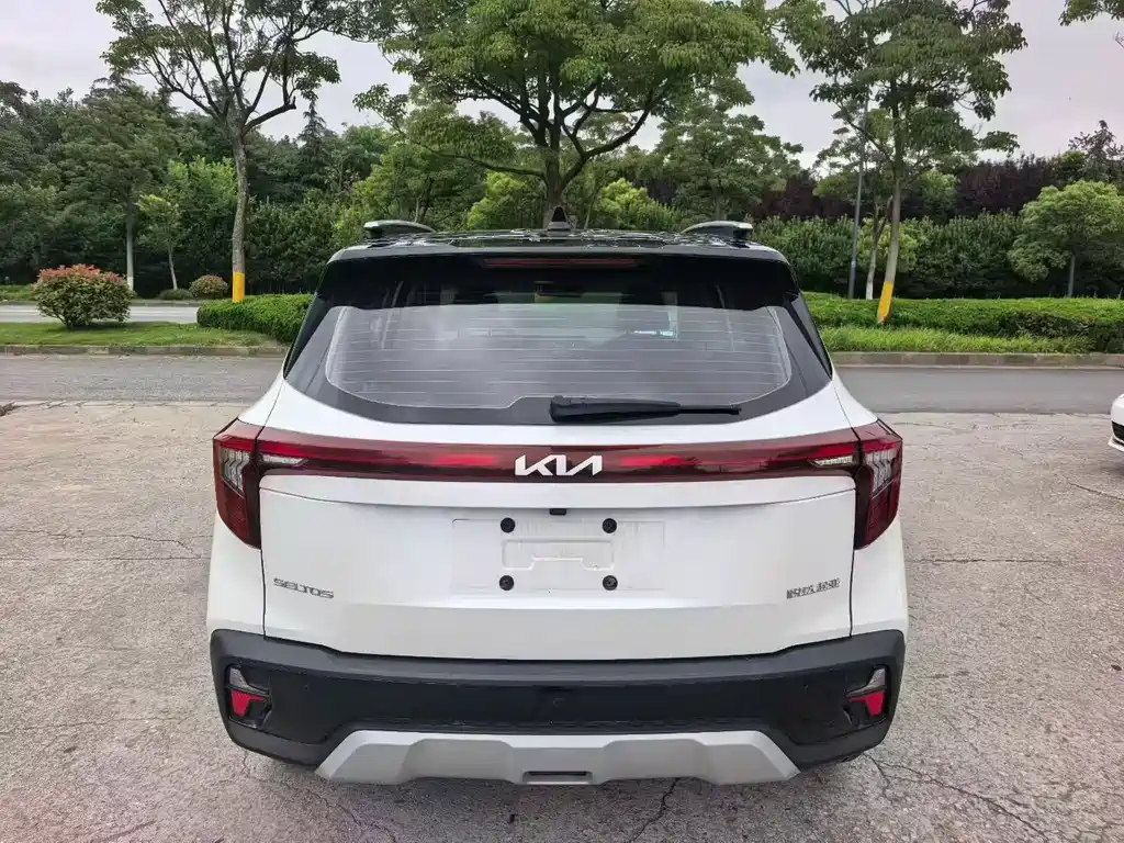 Kia Seltos — миниатюра 2
