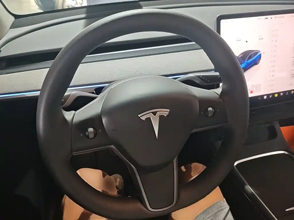 Tesla Model Y — миниатюра 11