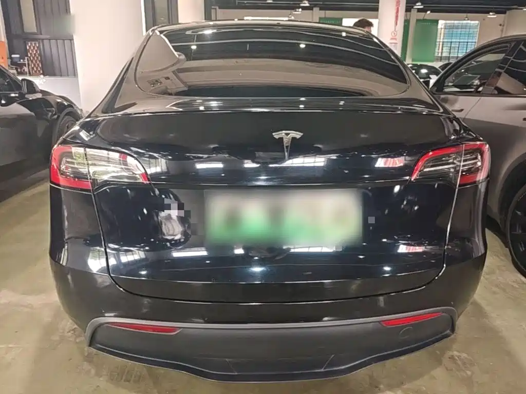 Tesla Model Y — миниатюра 6