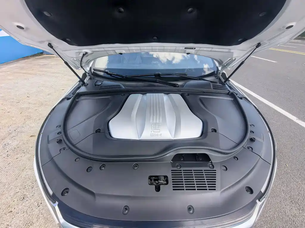BYD Tang New Energy — миниатюра 16