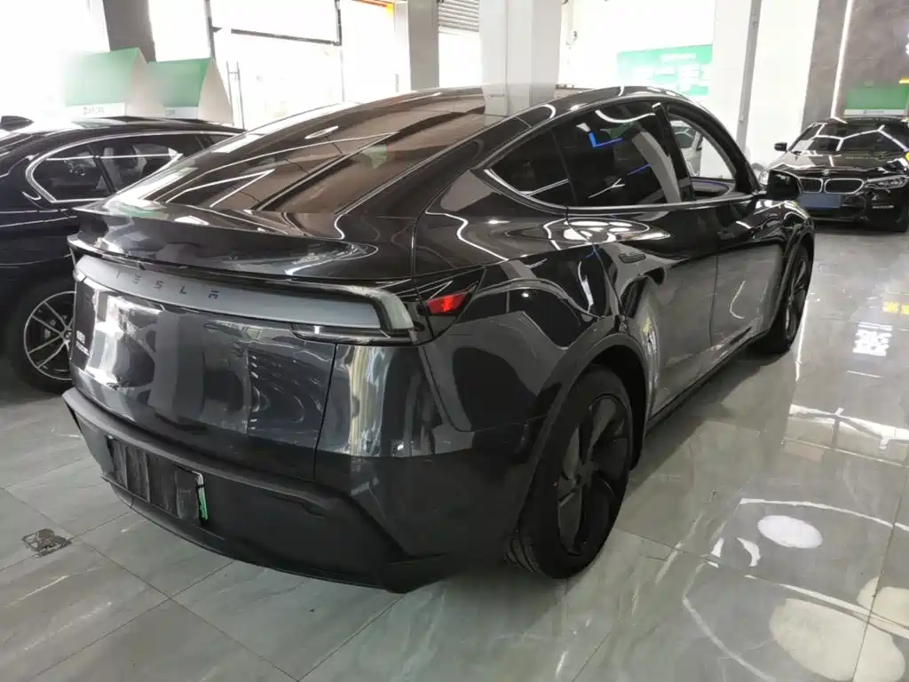 Tesla Model Y — миниатюра 7