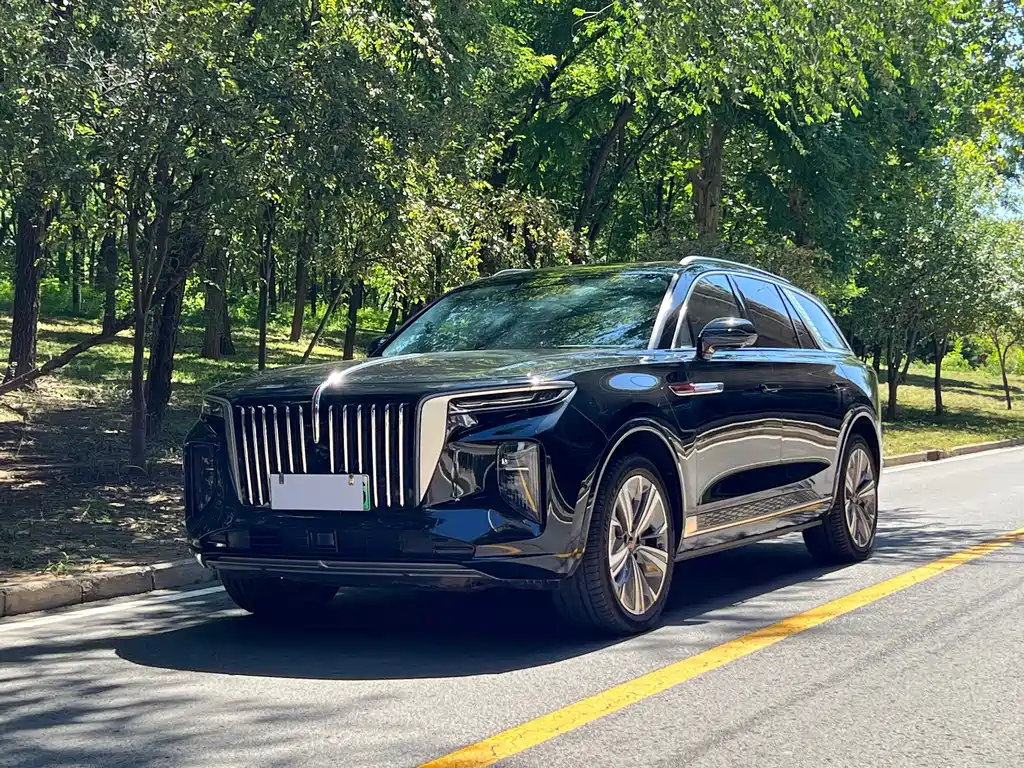 Hongqi Hongqi E-HS9