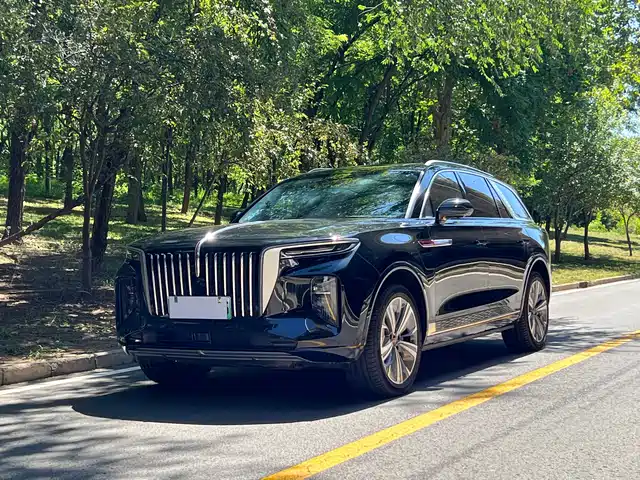 Hongqi E-HS9