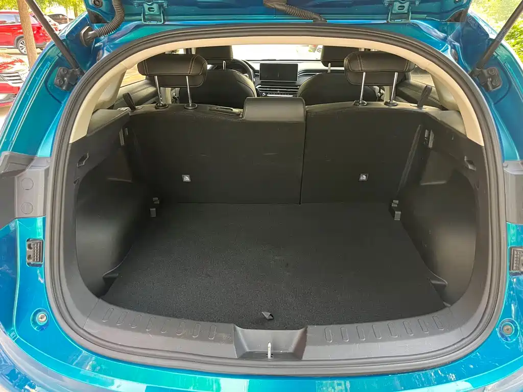 Haval Chitu — миниатюра 14