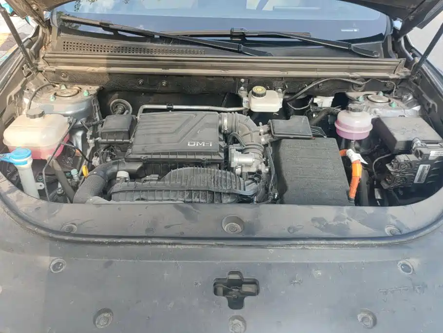 BYD Pro New Energy — миниатюра 10