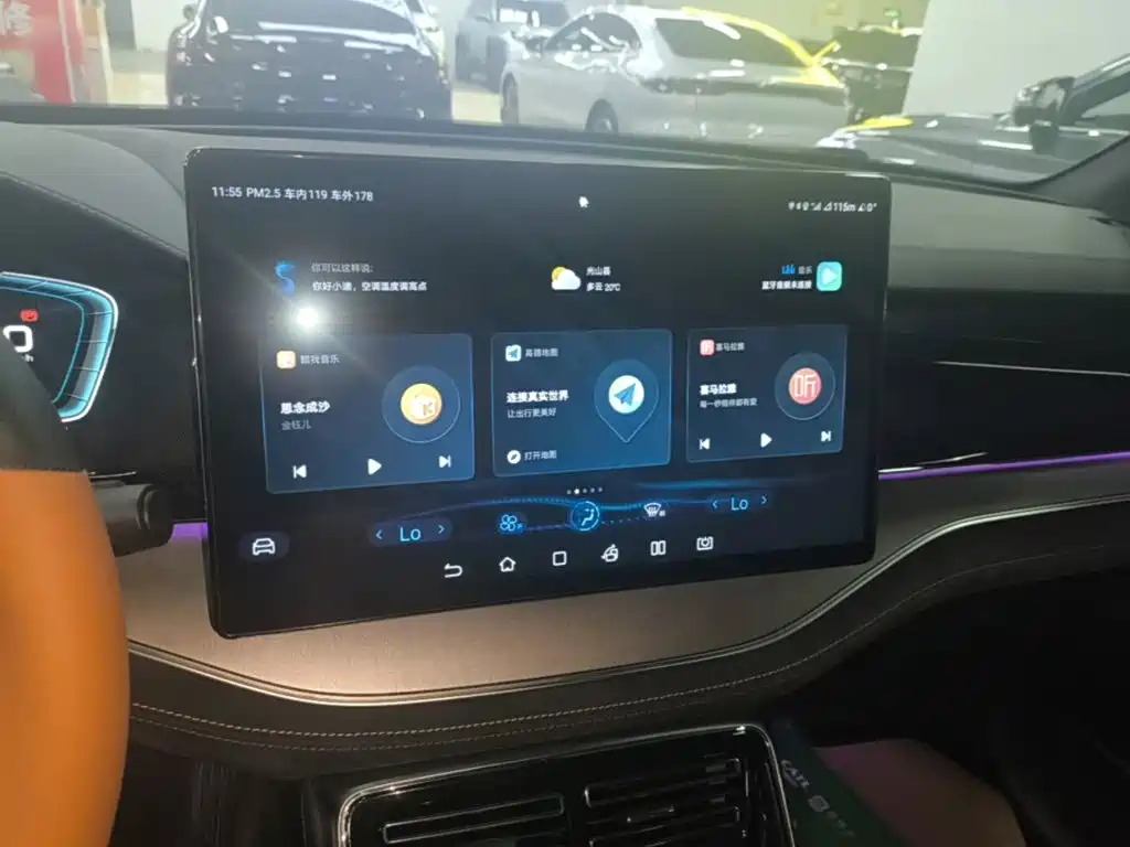 BYD Tang New Energy — миниатюра 13