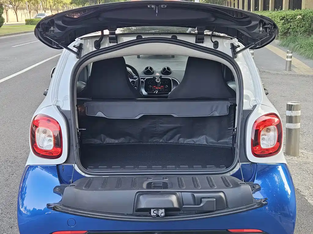 smart Smart Fortwo — миниатюра 15