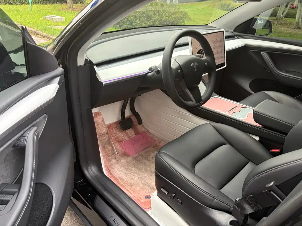 Tesla Model Y — миниатюра 5