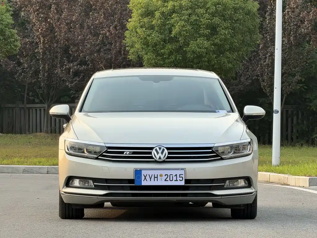 Volkswagen Magotan — миниатюра 2