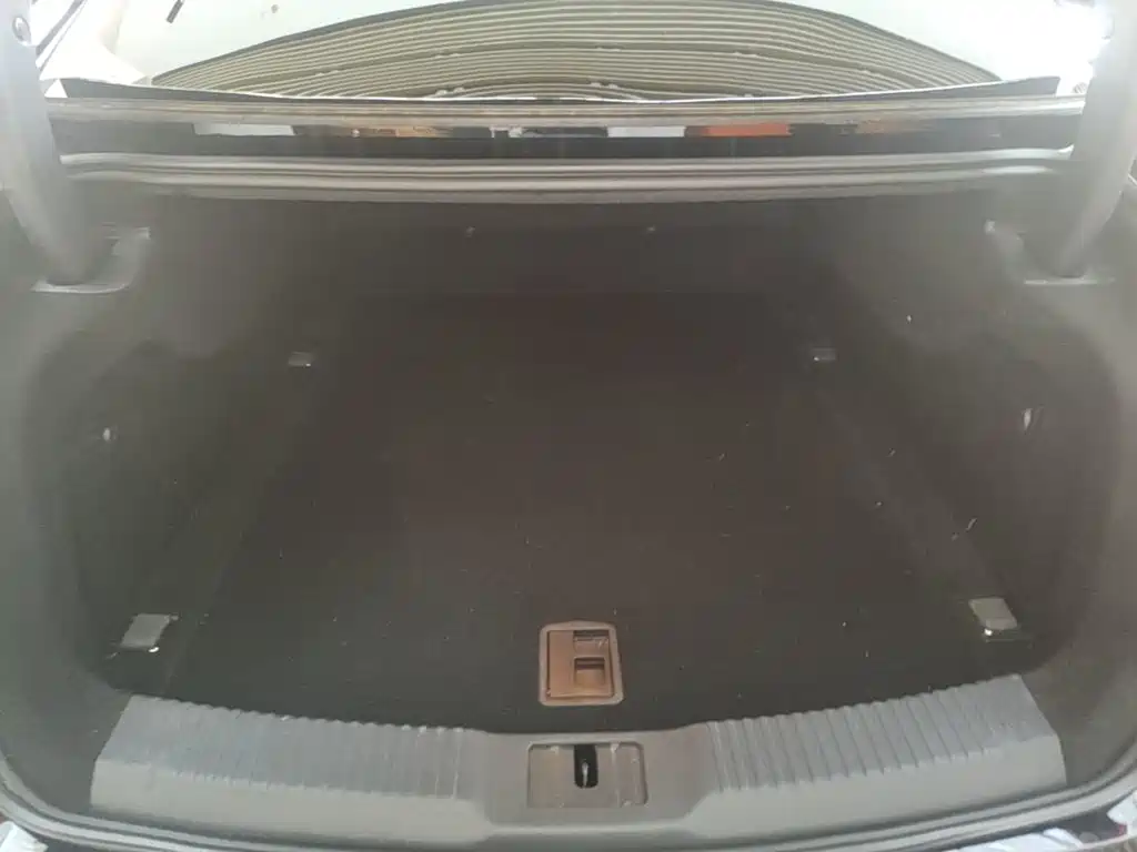 Hongqi Hongqi H9 — миниатюра 19