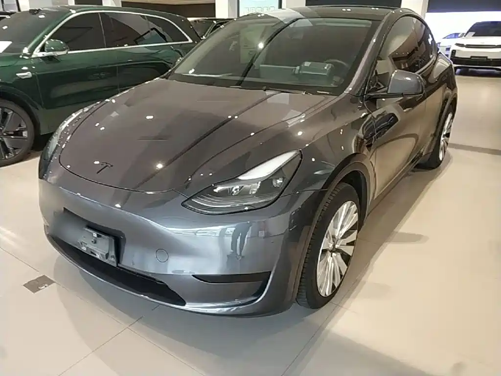 Tesla Model Y — миниатюра 2