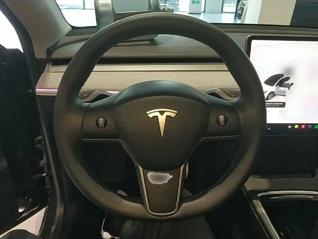 Tesla Model Y — миниатюра 11