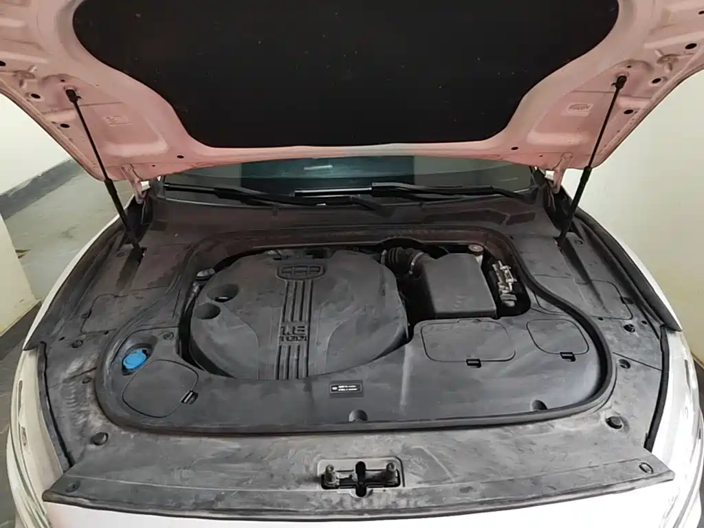 Geely Borui — миниатюра 16