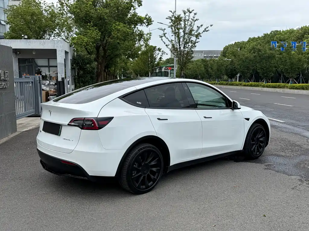 Tesla Model Y — миниатюра 3
