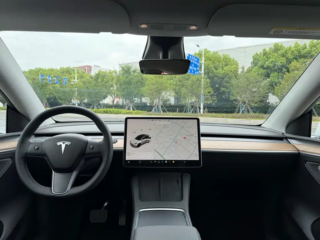 Tesla Model Y — миниатюра 8