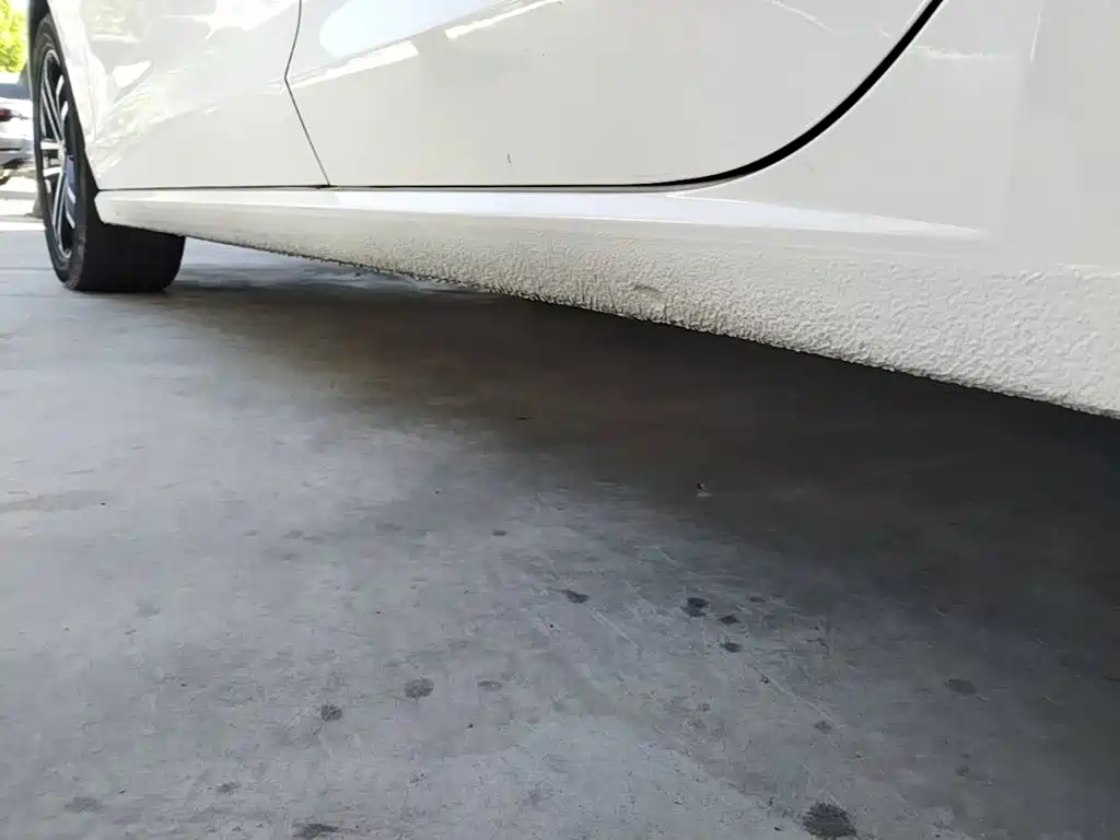 Volkswagen Lamando — миниатюра 22