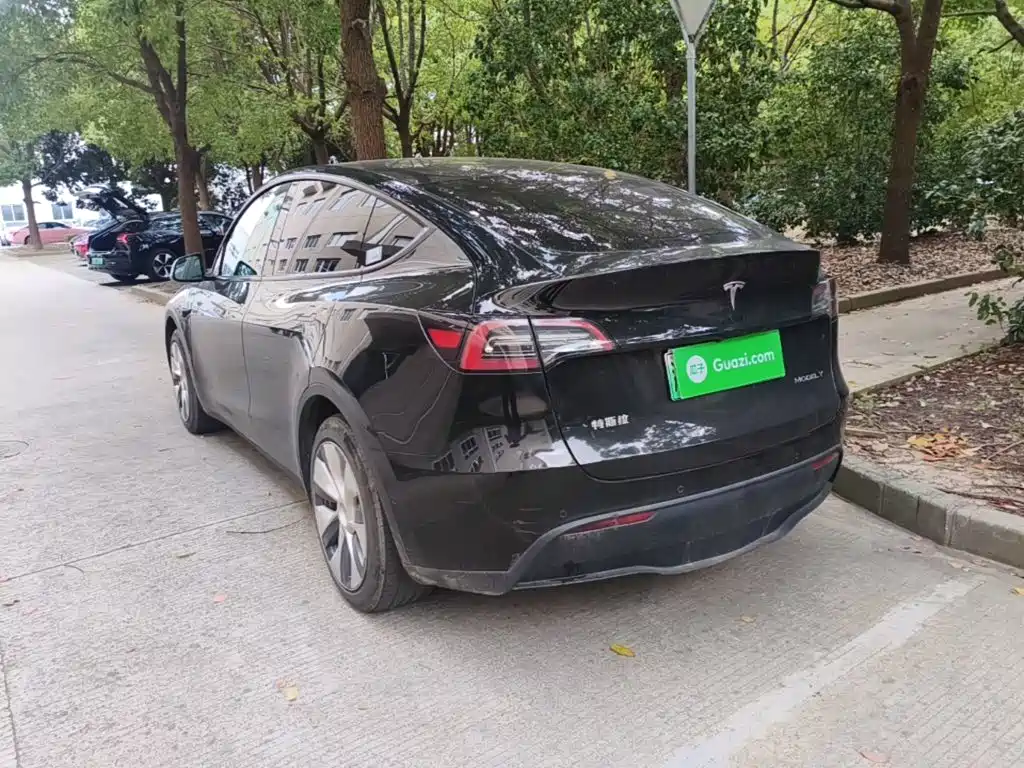 Tesla Model Y — миниатюра 5