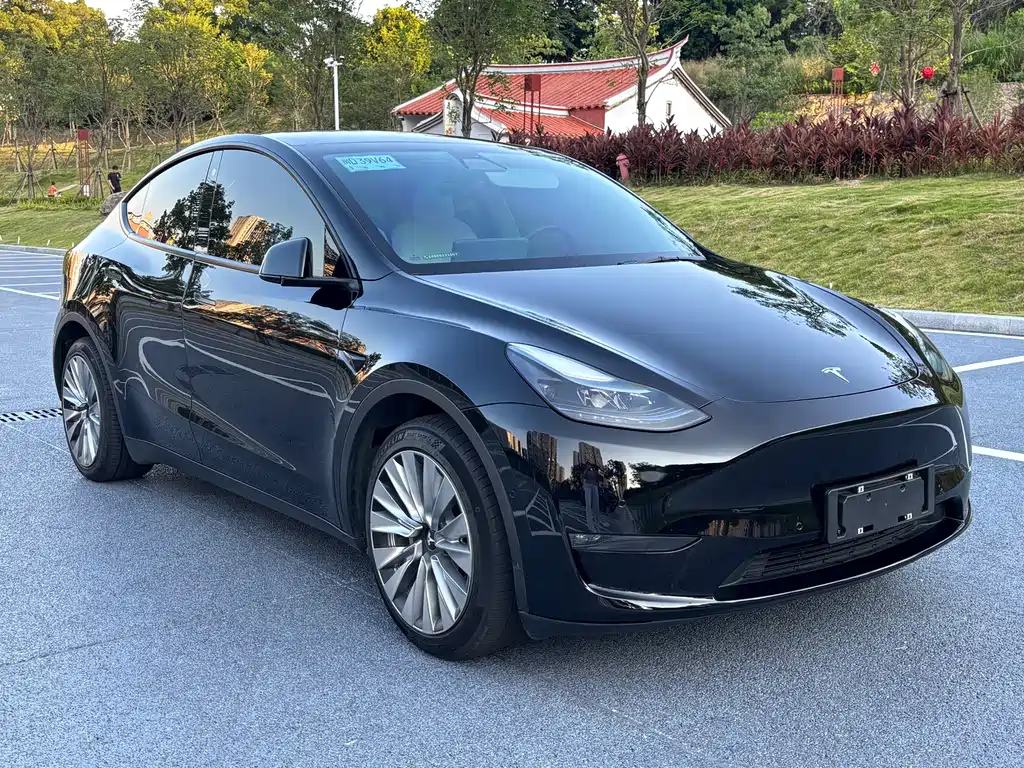 Tesla Model Y — миниатюра 3