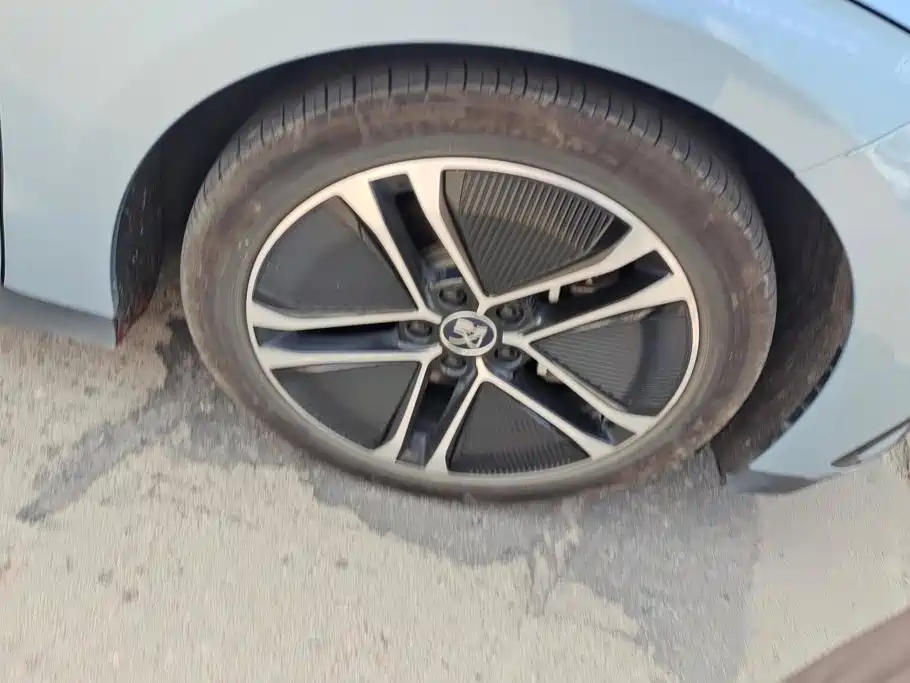 BYD Han — миниатюра 6