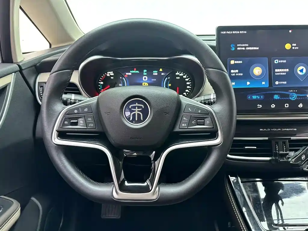 BYD MAX New Energy — миниатюра 10