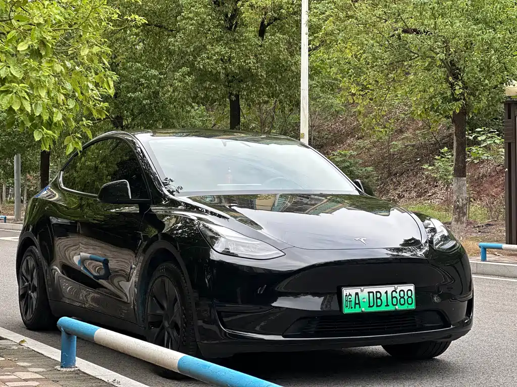 Tesla Model Y — миниатюра 9