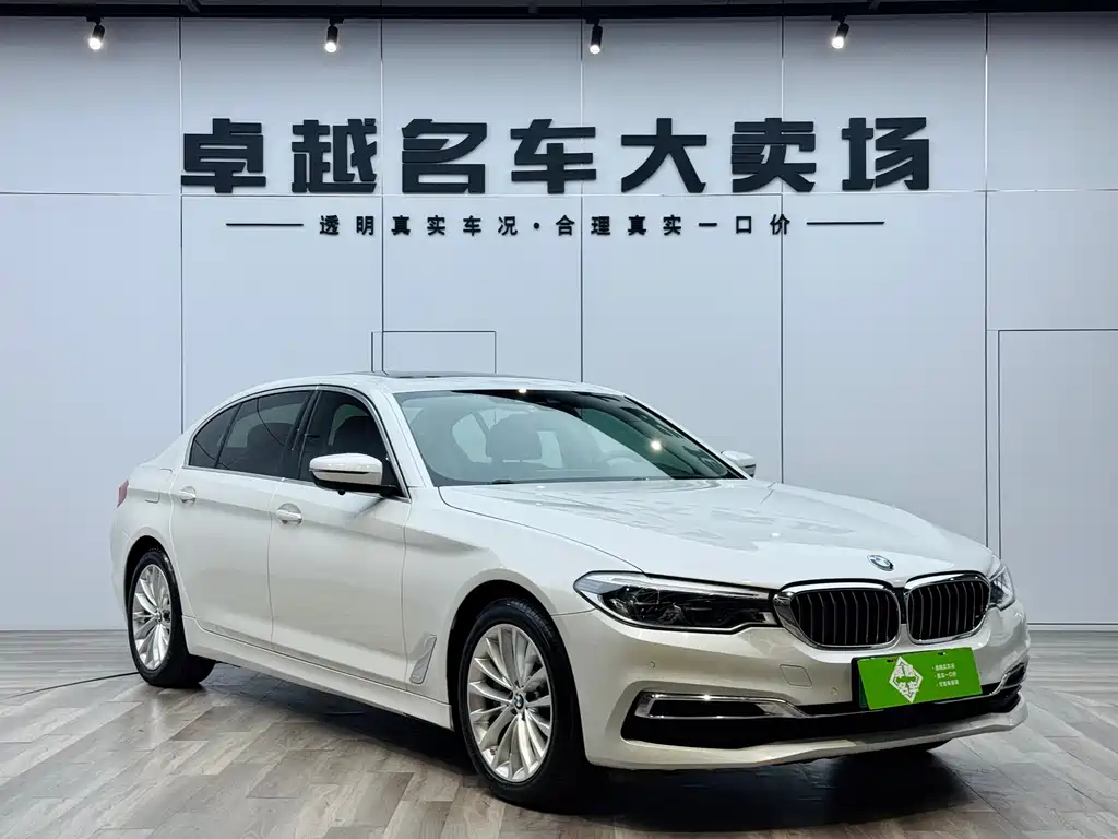 BMW 5 Series New Energy 2020