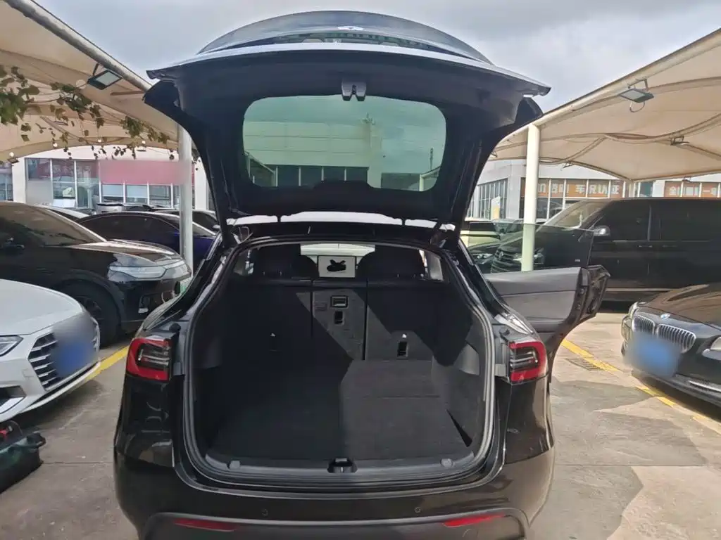 Tesla Model Y — миниатюра 19