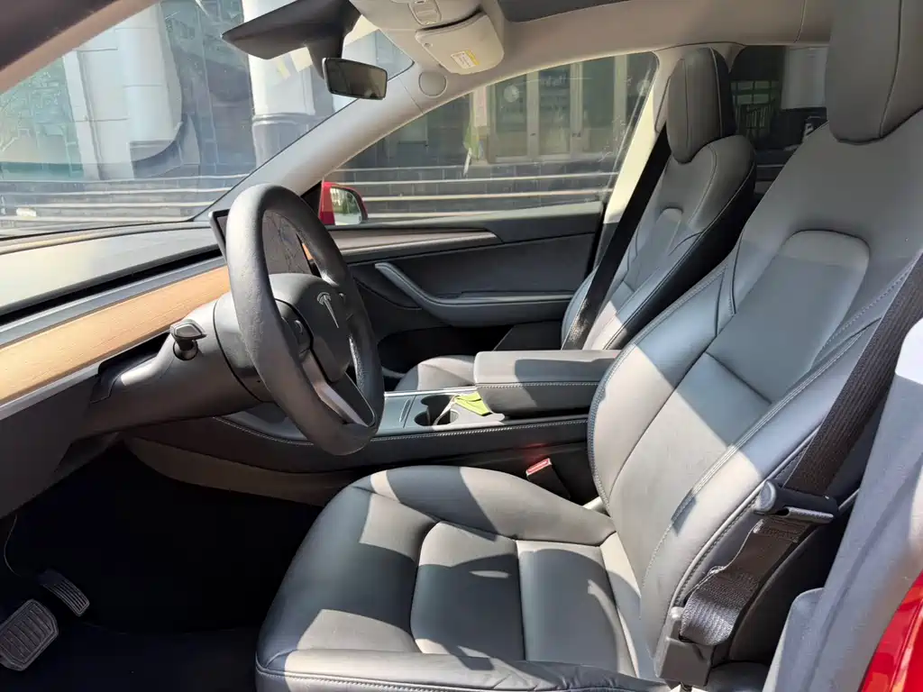 Tesla Model Y — миниатюра 4