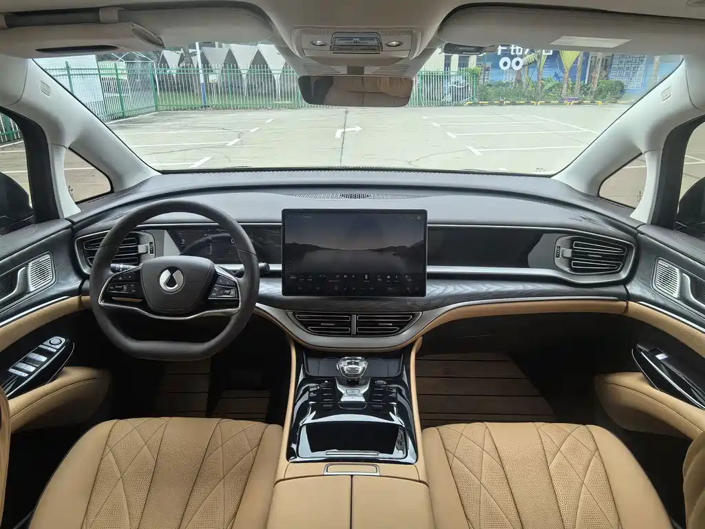 Denza Denza D9 — миниатюра 10
