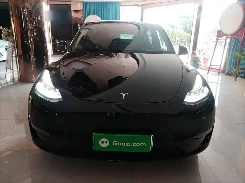 Tesla Model Y — миниатюра 3