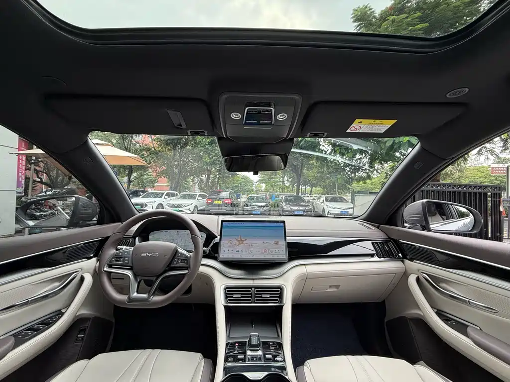 BYD PLUS — миниатюра 17