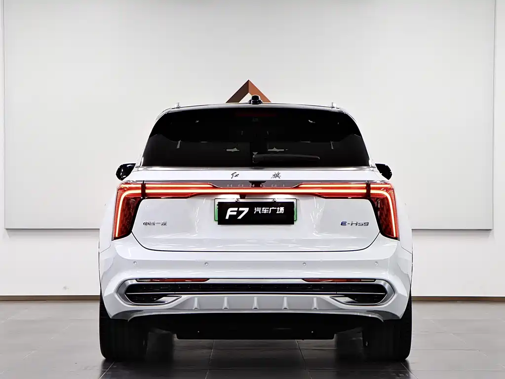 Hongqi HONGQI E HS9