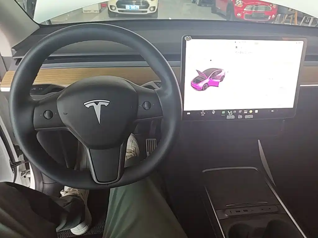 Tesla Model Y — миниатюра 10