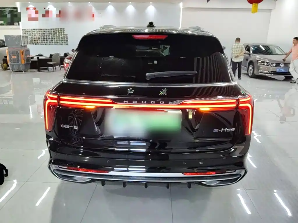 Hongqi Hongqi E-HS9 — миниатюра 6