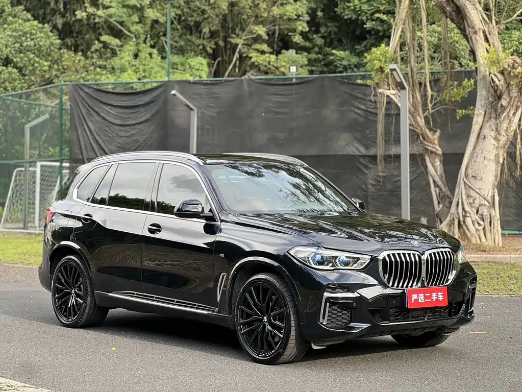 BMW X5 — миниатюра 3