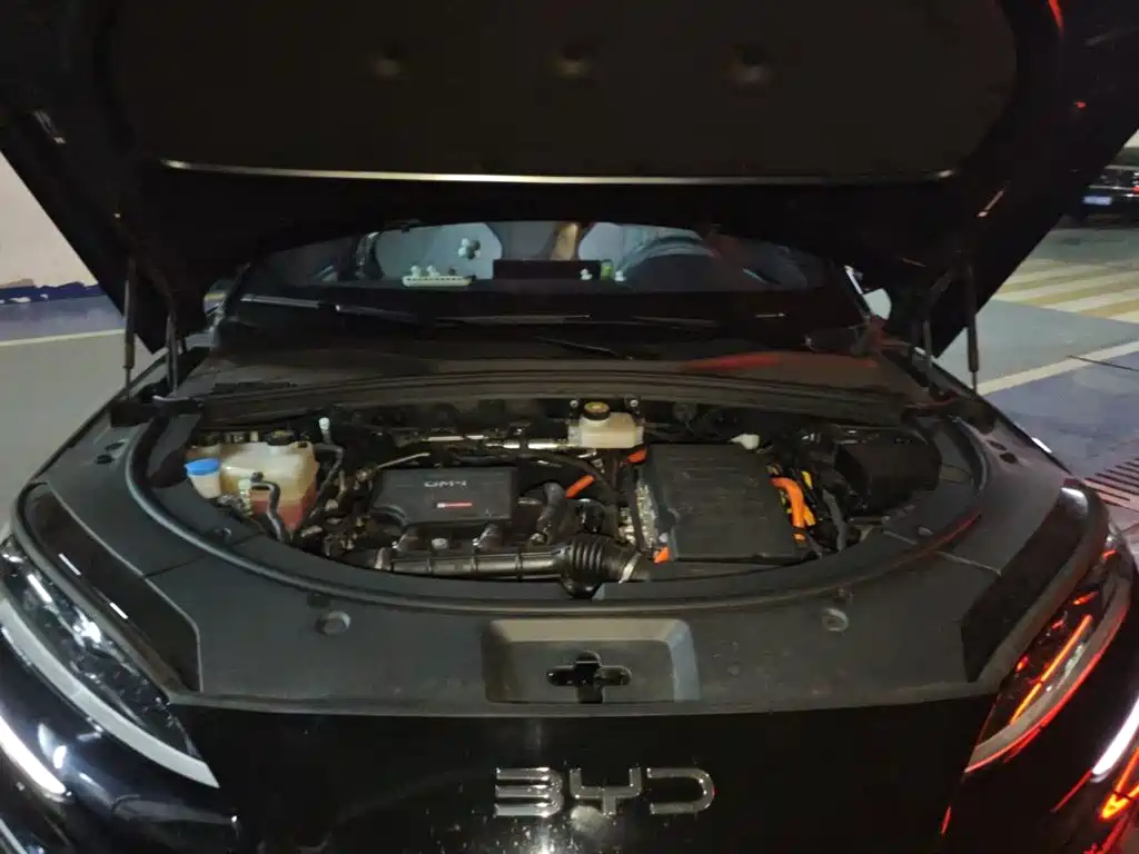 BYD PLUS New Energy — миниатюра 11