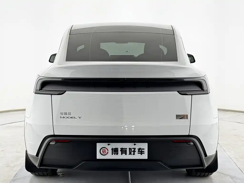 Tesla Model Y — миниатюра 11