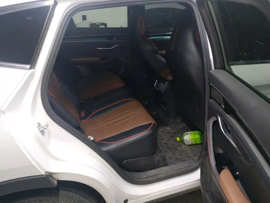 BYD PLUS — миниатюра 11