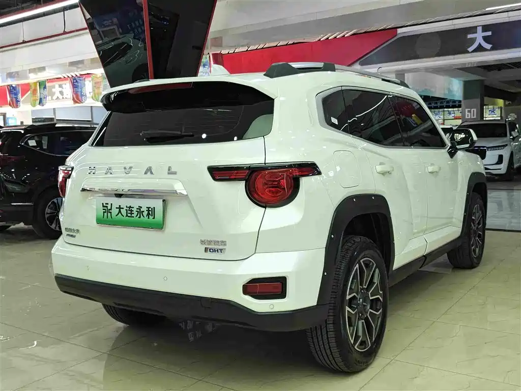 Haval Big Dog PLUS New Energy — миниатюра 12