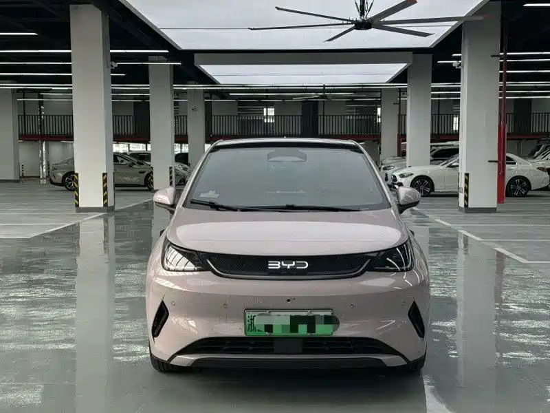 BYD Dolphin - фото 2