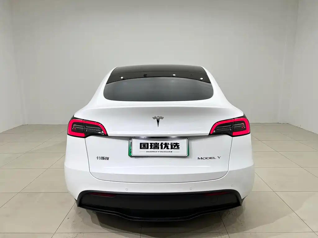 Tesla Model Y — миниатюра 5