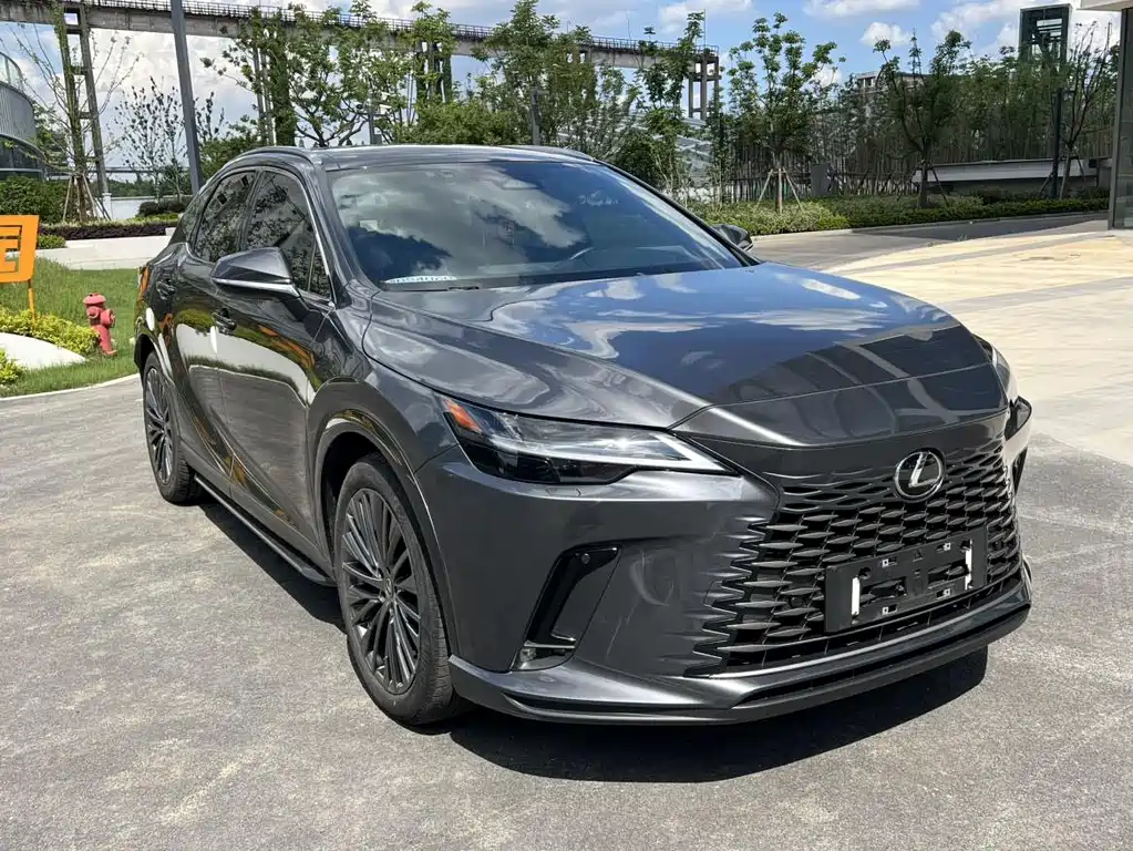 Lexus RX New Energy — миниатюра 3
