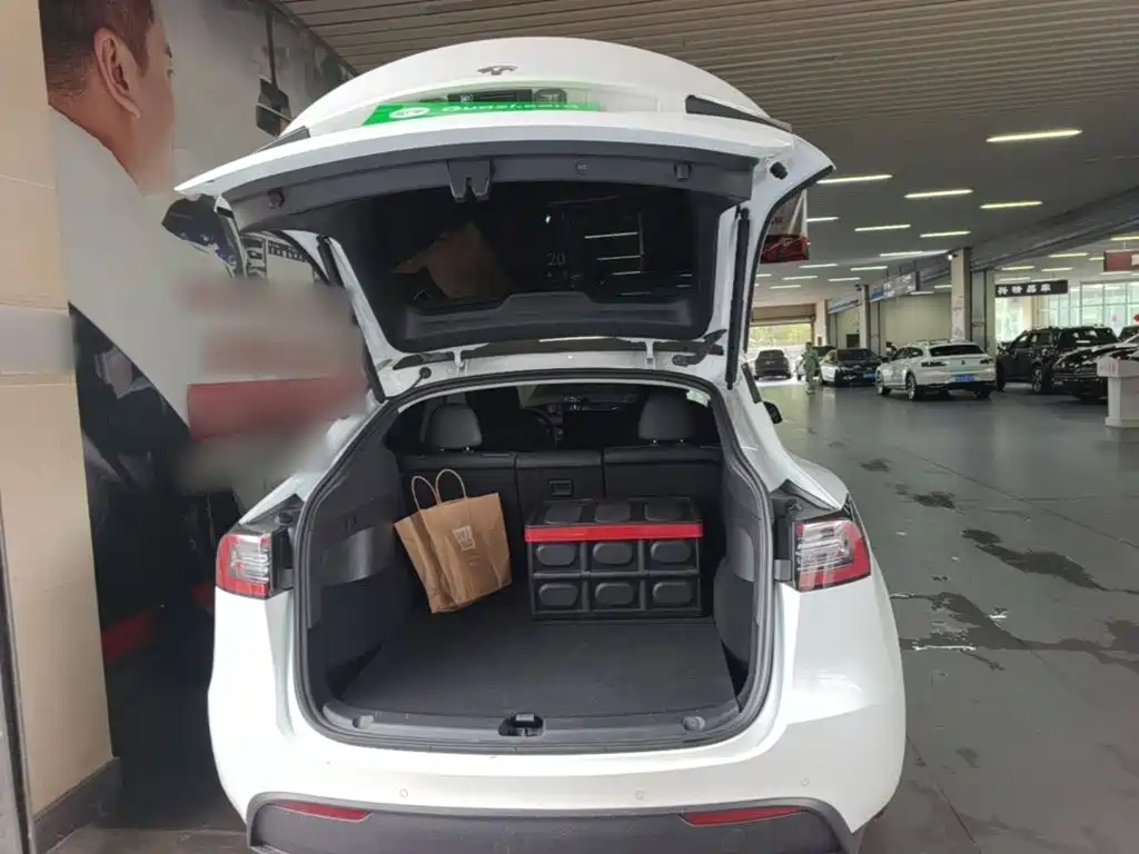 Tesla Model Y — миниатюра 19
