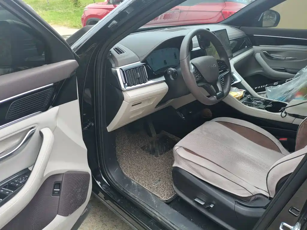 BYD PLUS New Energy — миниатюра 13