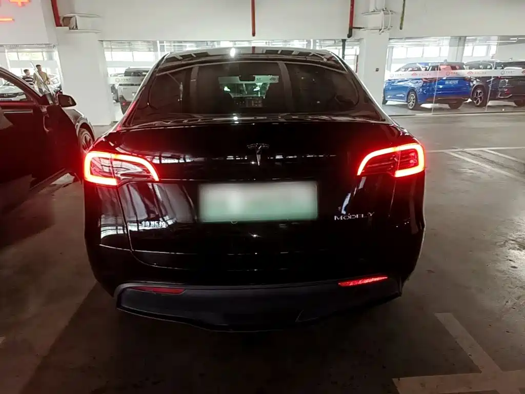Tesla Model Y — миниатюра 6