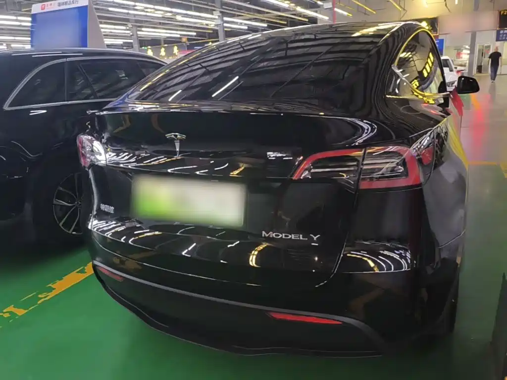 Tesla Model Y — миниатюра 6