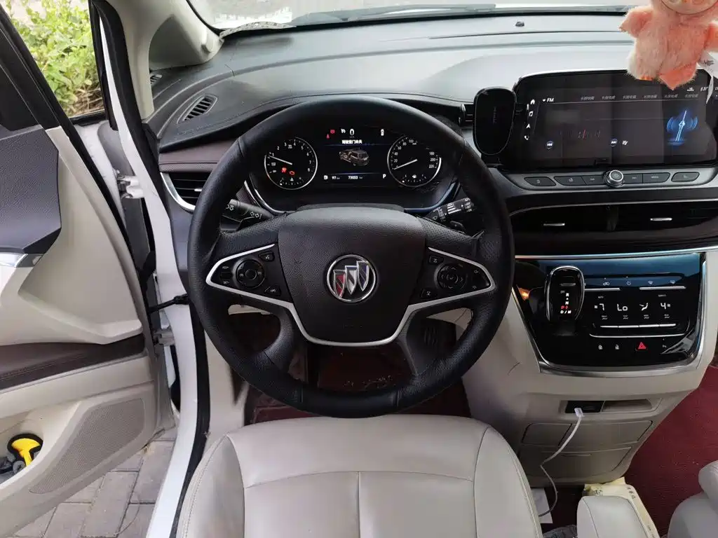 Buick GL8 — миниатюра 3