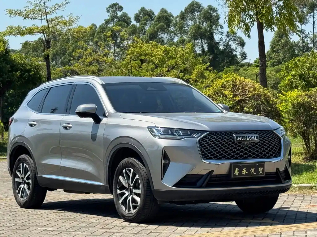 Haval H6 — миниатюра 3