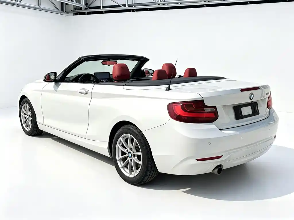 BMW 2 Series (Import) 218i Convertible Coupe, фото 8